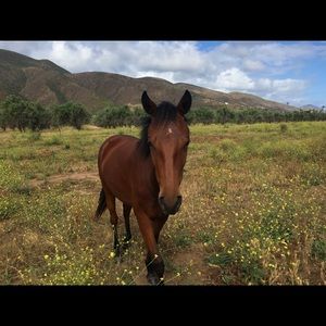 Meet your Posher, Olivia